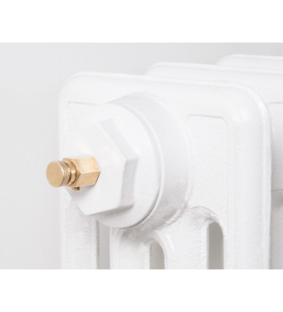Carron Radiator Bleed Nipple - Brass