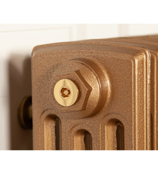 Carron 1/2" Radiator Bleed Valve - Polished Brass (Lacquered)