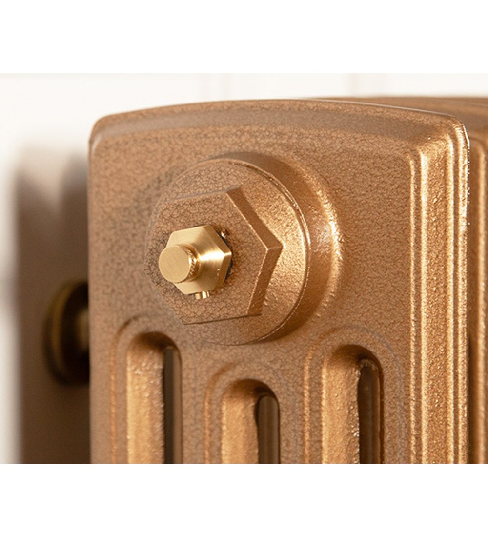 Carron 1/2" Luxury Radiator Bleed Valve - Brushed Brass (Lacquered)