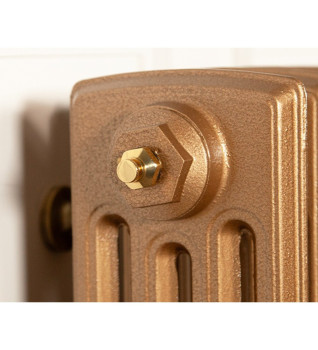 Carron 1/2" Luxury Radiator Bleed Valve - Polished Brass (Lacquered)