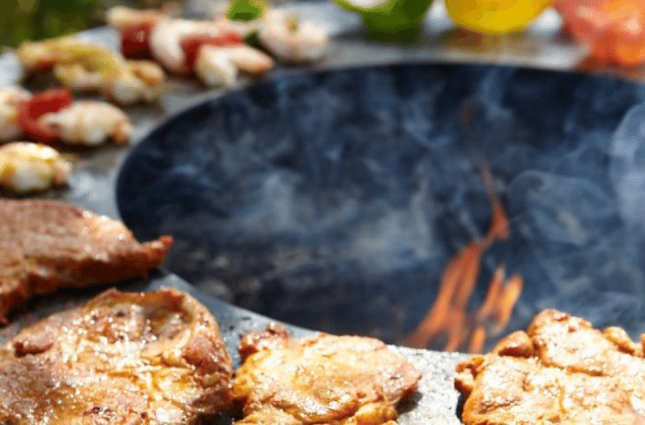 Plancha Grills Buying Guide