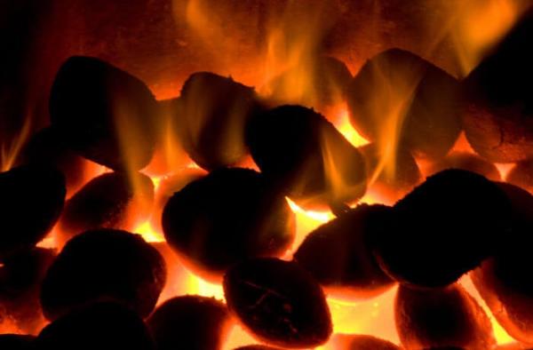 Is Burning Wood and Coal About to Be Banned?