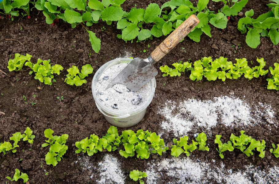 How to Use Wood Burner Ash in Your Garden