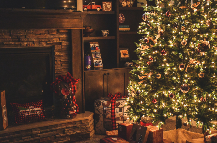 After the Twelfth Day of Christmas: A Green Guide to Tree Disposal